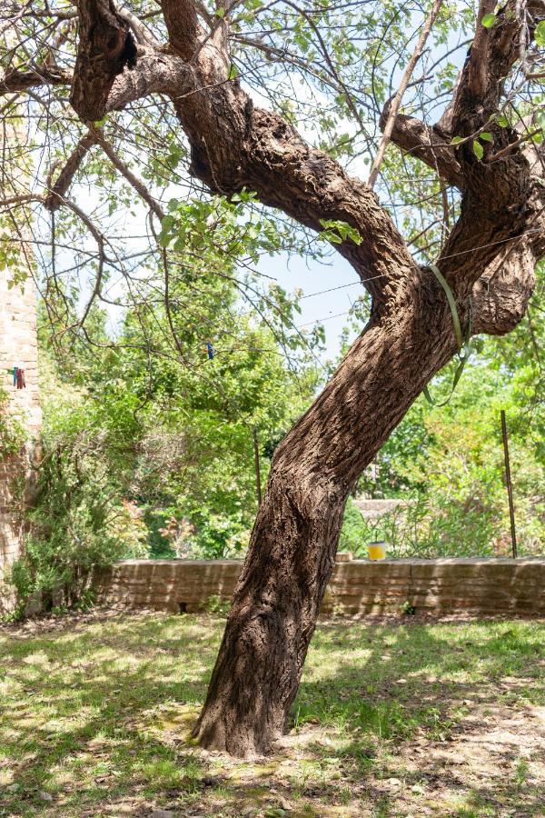 Апартаменты Urbino Experience Экстерьер фото